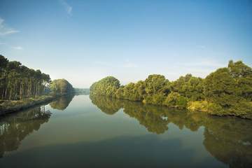 Die Donau im Dillinger Land