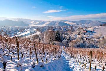 Gengenbach Winter Blick auf Stadt